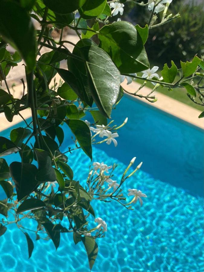 Beautiful Villa With Pool, Barbecue, And Garden Jávea Exteriér fotografie